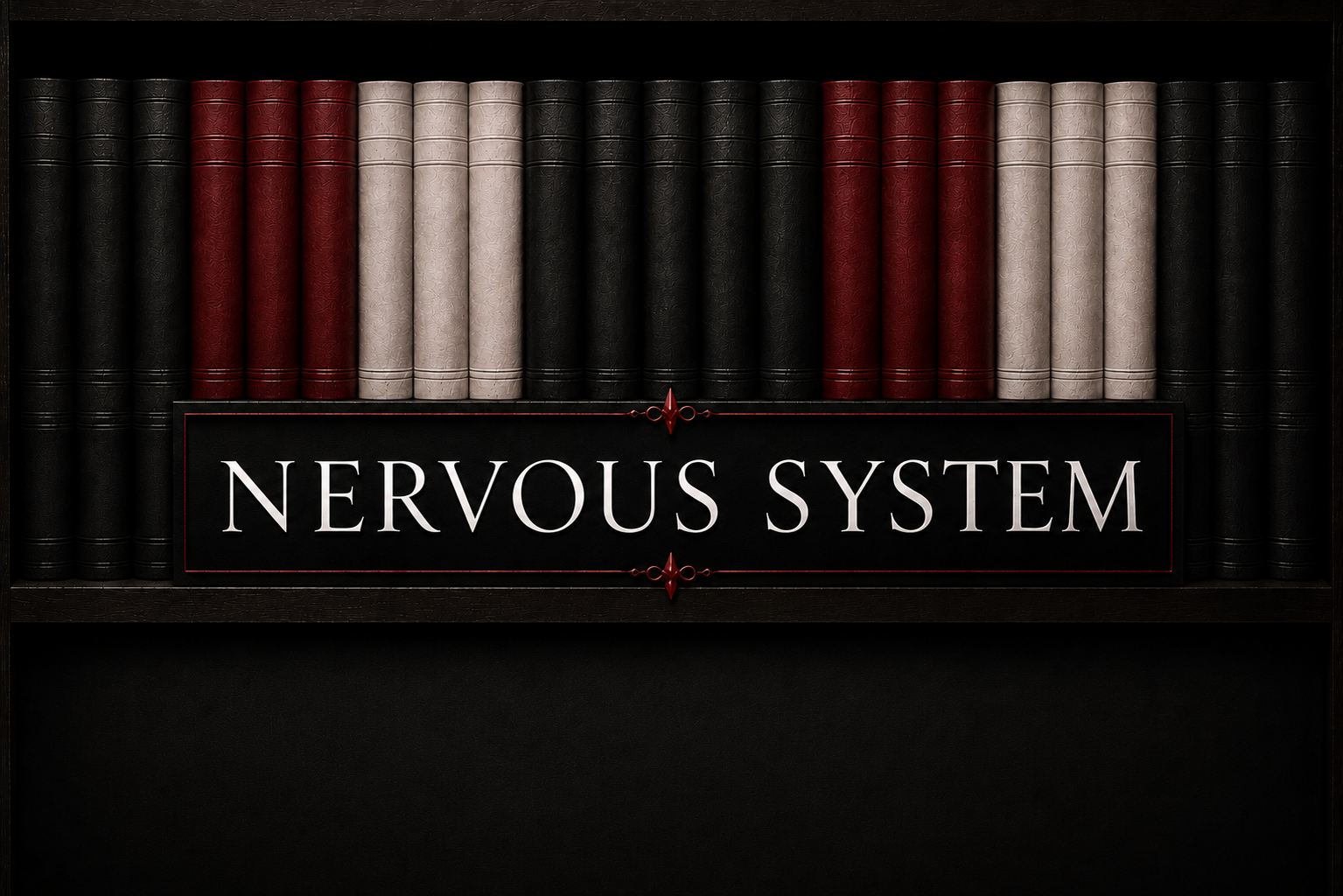 nervous system